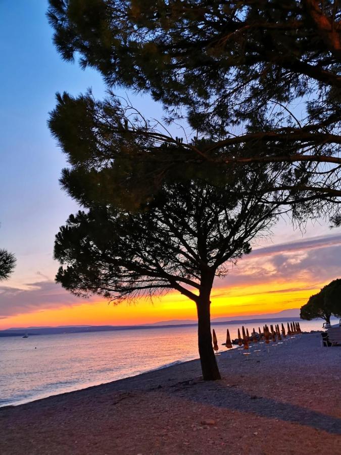 Ivana Apartman 3 Crikvenica Exterior foto